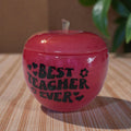 Best Teacher Ever